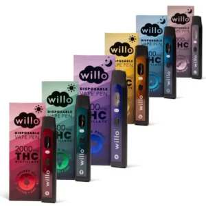 Willo Disposable THC Vape Pen 2g